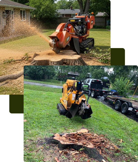 Stump Grinding Spokane WA