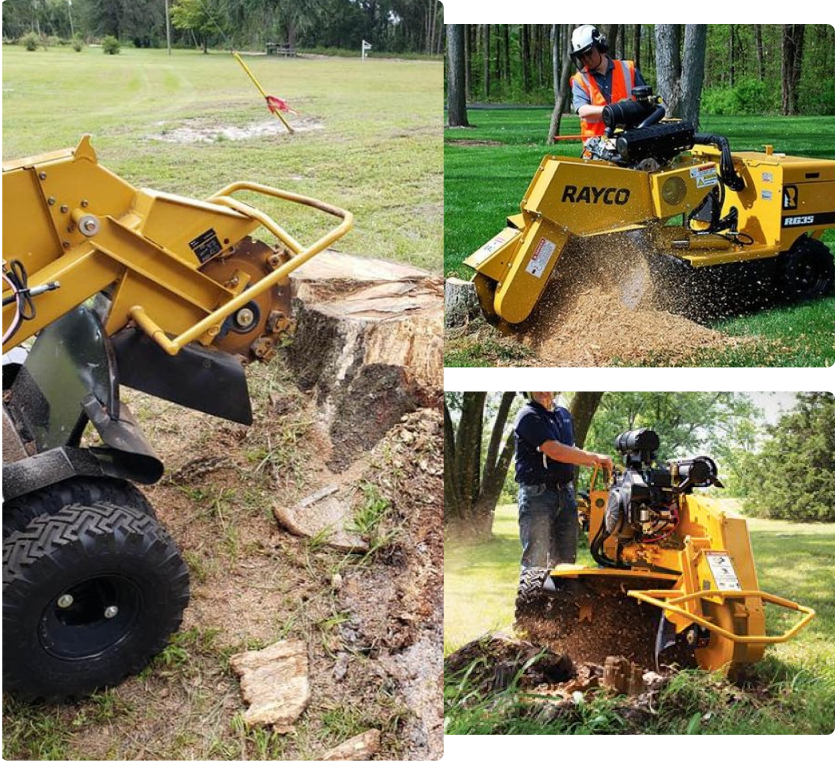 Stump Grinding Spokane WA