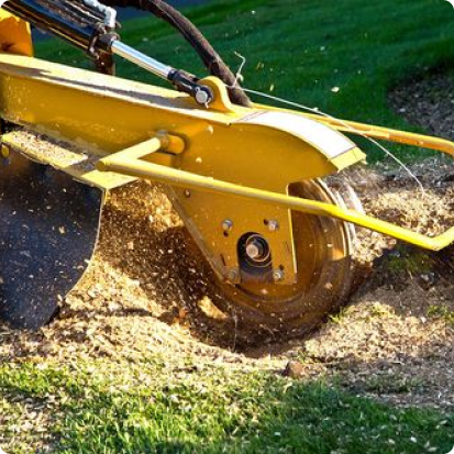 Tree Removal Spokane