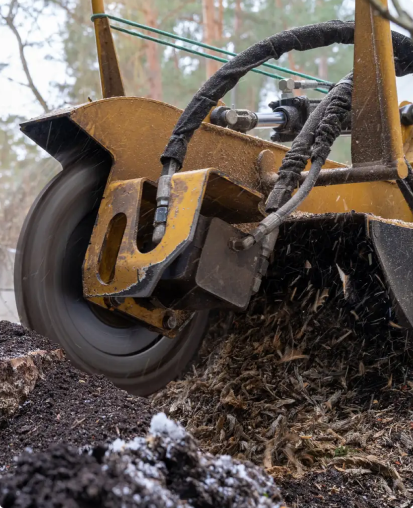 Tree Stump Removal Spokane