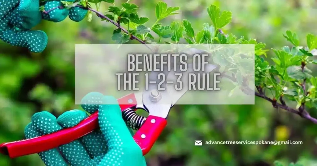 Benefits of the 1-2-3 Rule
