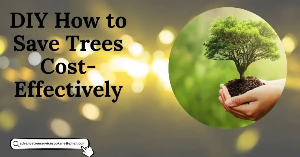  DIY: How to Save Trees Cost-Effectively
