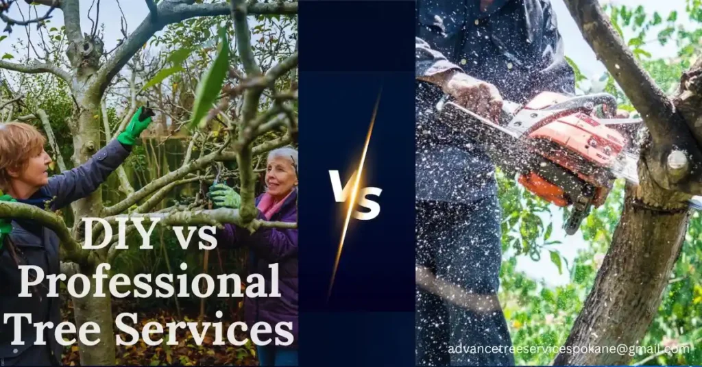 DIY vs Professional Tree Services