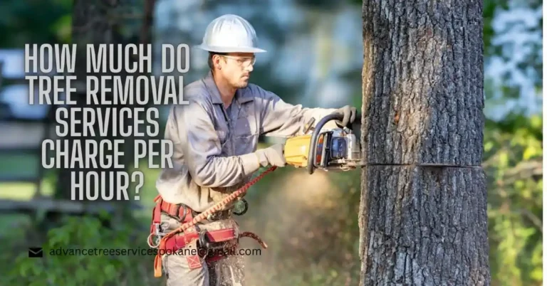 How Much Do Tree Removal Services Charge Per Hour?