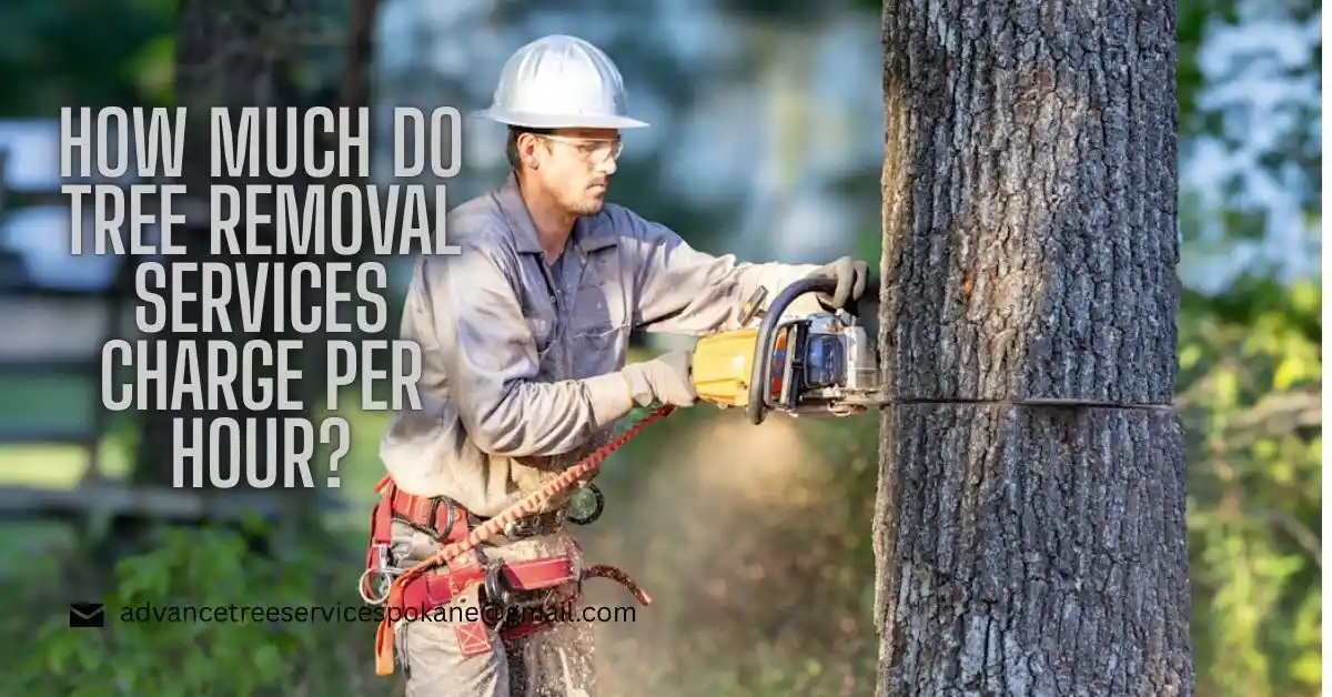 How Much Do Tree Removal Services Charge Per Hour?