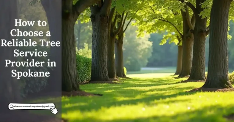How to Choose a Reliable Tree Service Provider in Spokane