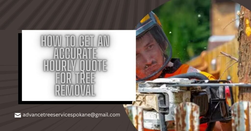 How to Get an Accurate Hourly Quote for Tree Removal