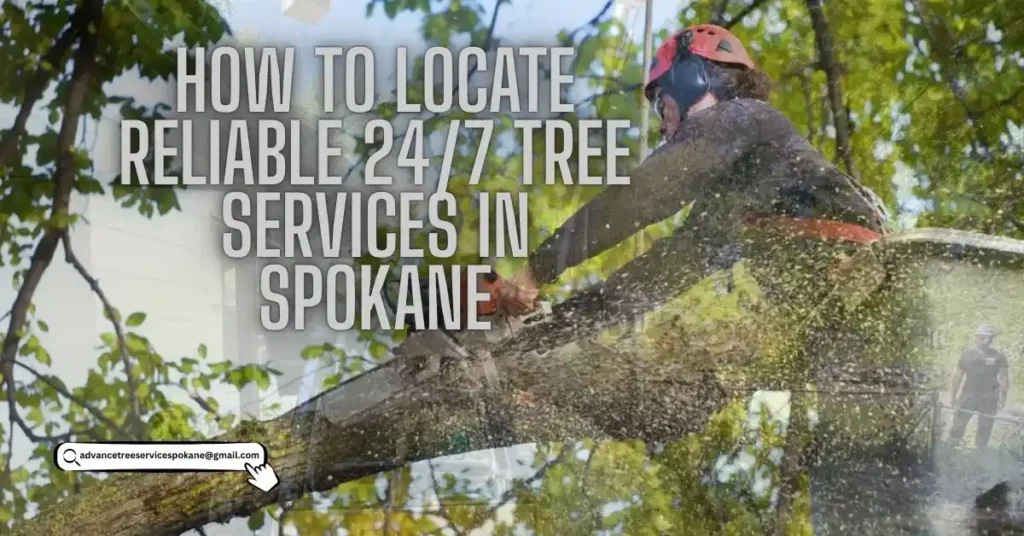 How to Locate Reliable 24/7 Tree Services in Spokane
