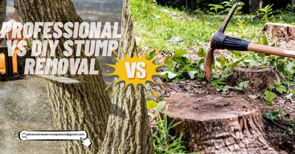  DIY vs Professional Stump Removal in Spokane