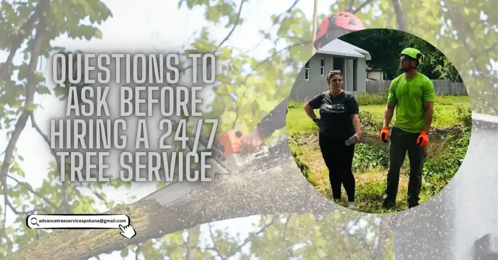 Questions to Ask Before Hiring a 24/7 Tree Service