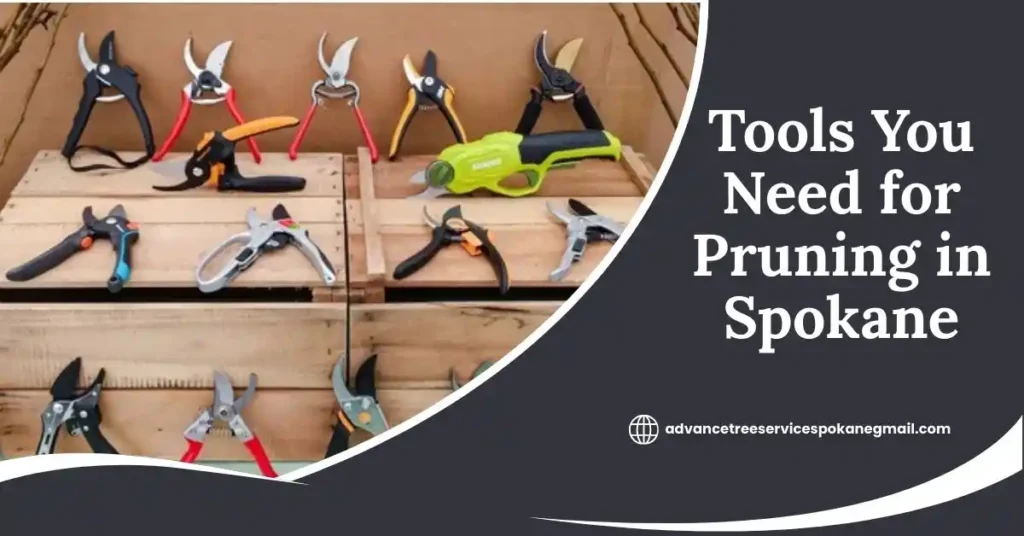 Tools You Need for Pruning in Spokane