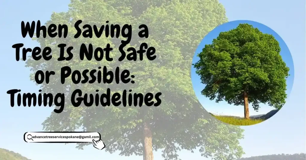 When Saving a Tree Is Not Safe or Possible: Timing Guidelines