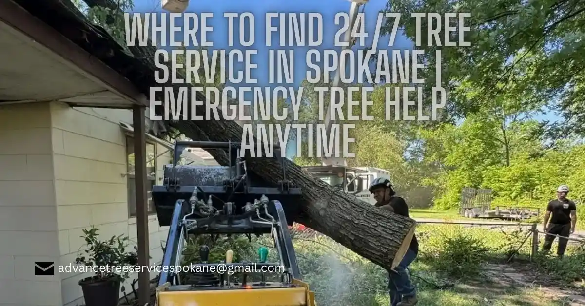 Where to Find 24/7 Tree Service in Spokane