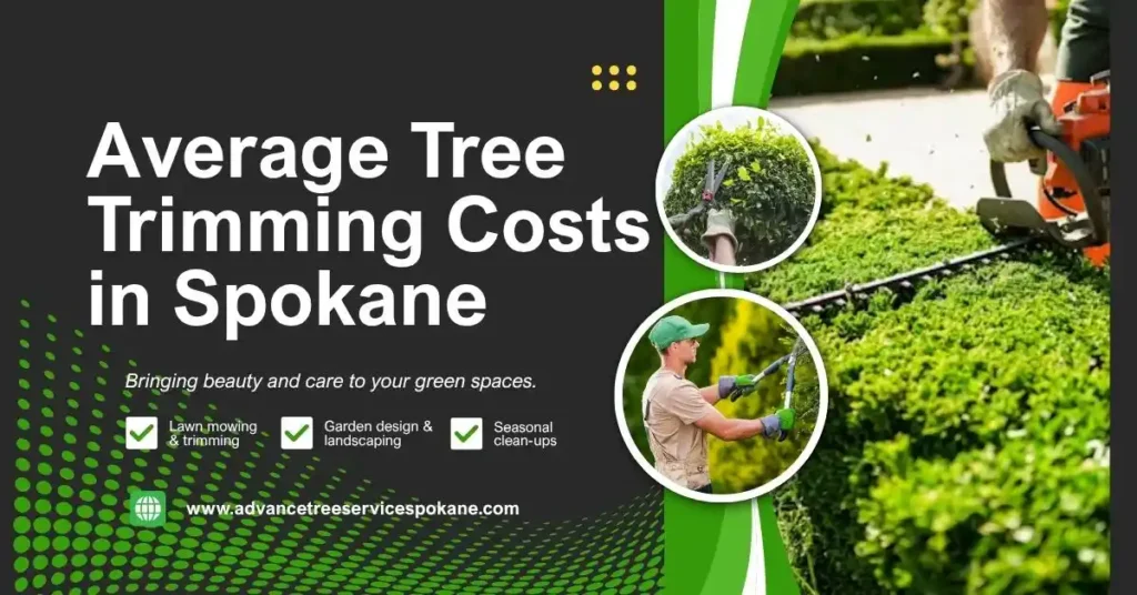 Average Tree Trimming Costs in Spokane