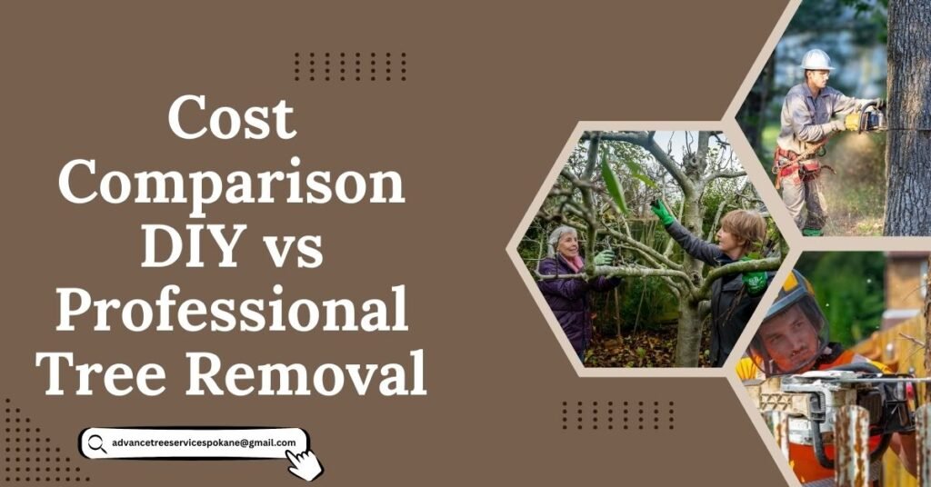 Cost Comparison: DIY vs Professional Tree Removal