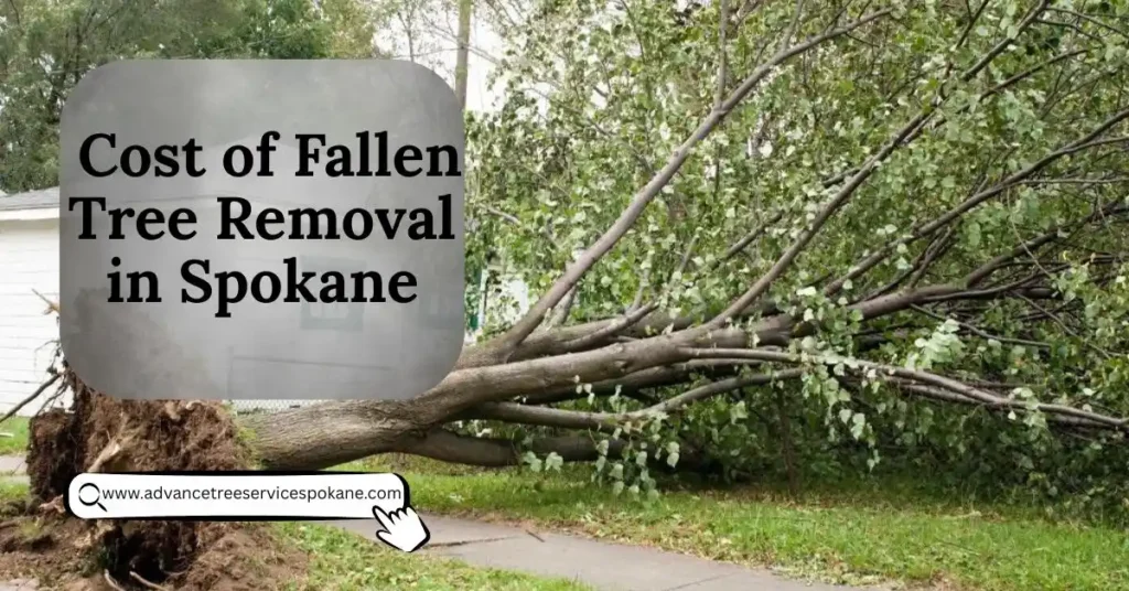 Cost of Fallen Tree Removal in Spokane