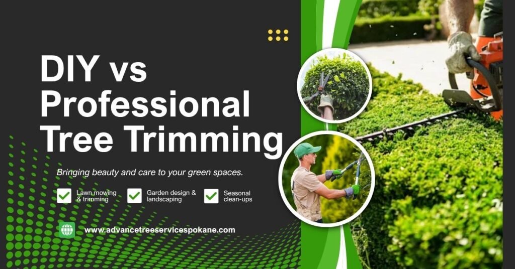 DIY Tree Trimming vs Professional Tree Trimming Costs