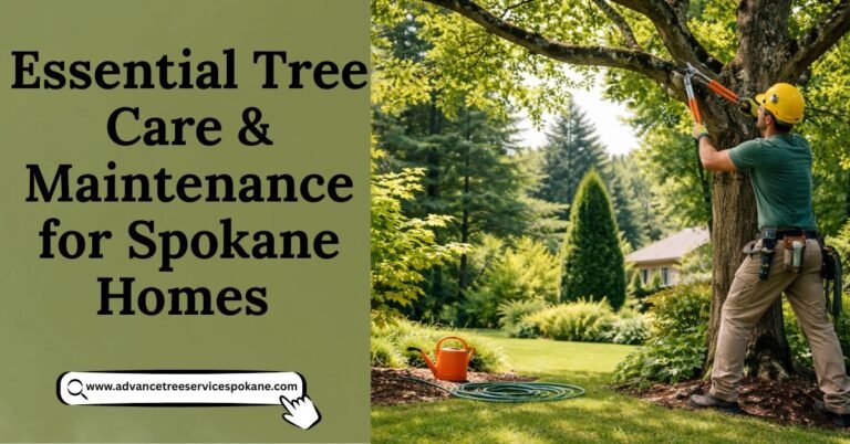 Tree Care & Maintenance