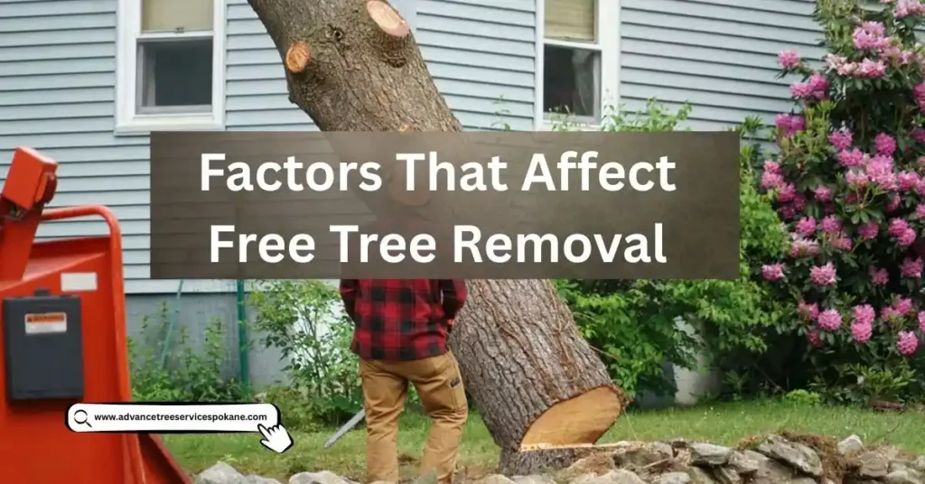 Factors That Affect Free Tree Removal