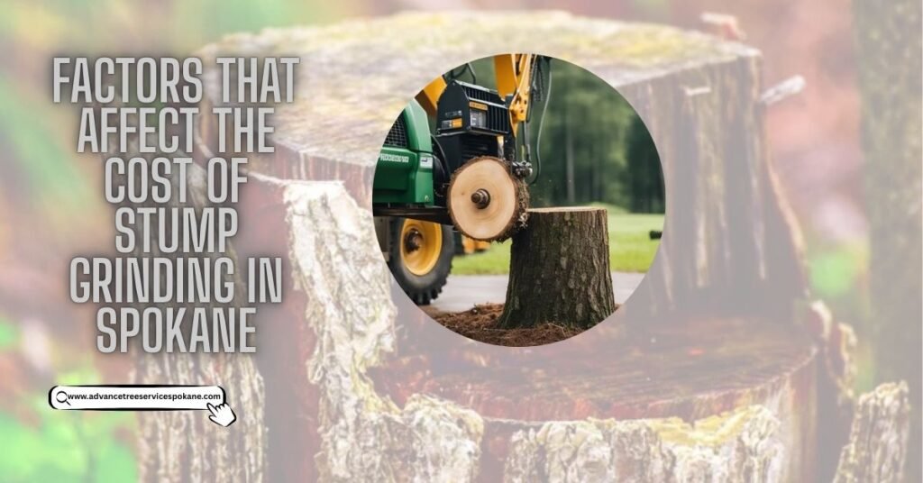 Factors That Affect the Cost of Stump Grinding in Spokane