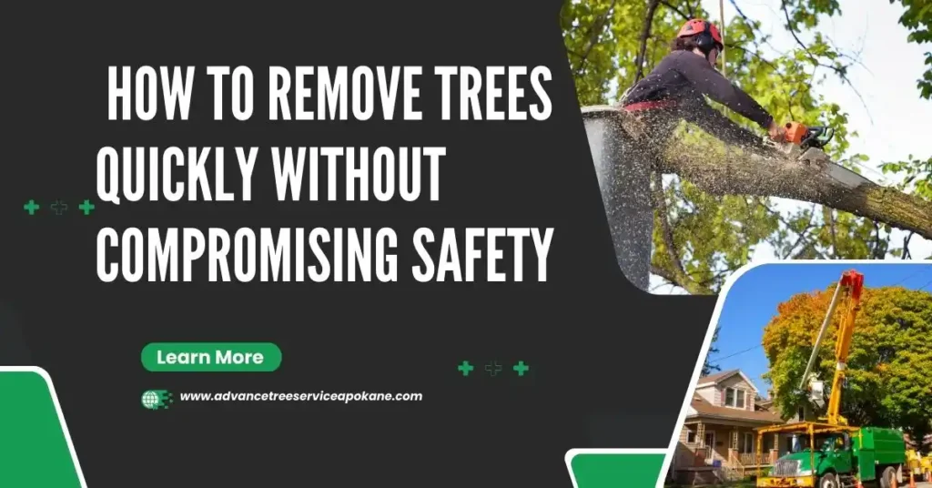 How to Remove Trees Quickly Without Compromising Safety