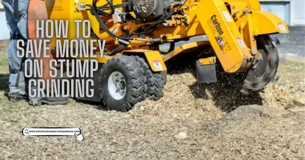 How to Save Money on Stump Grinding