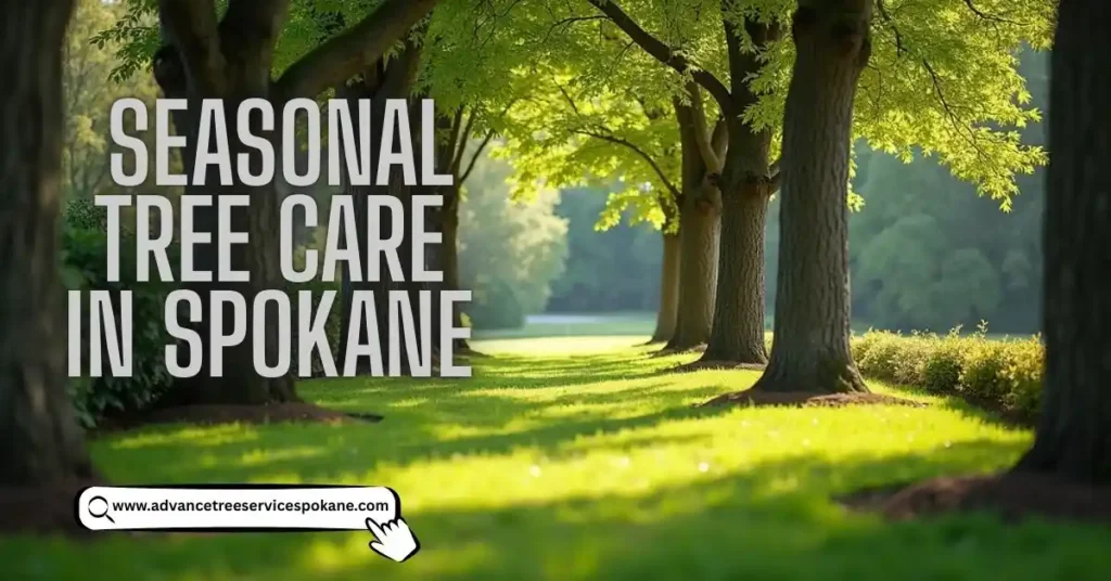 Seasonal Tree Care in Spokane