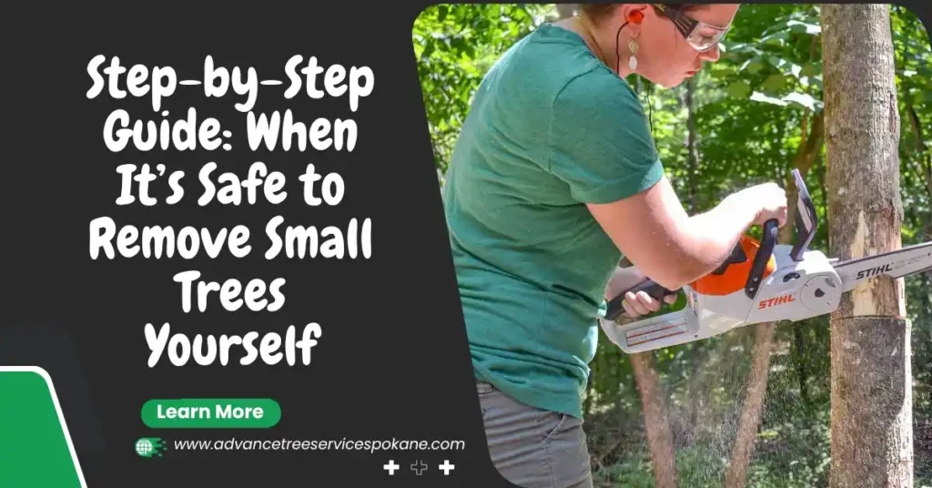 Step-by-Step Guide: When It’s Safe to Remove Small Trees Yourself
