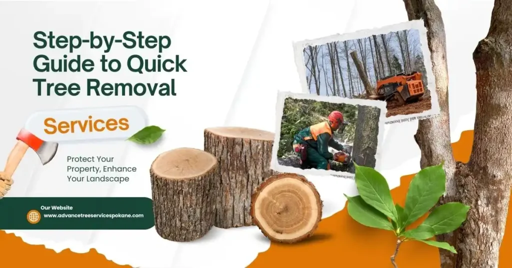 Step-by-Step Guide to Quick Tree Removal