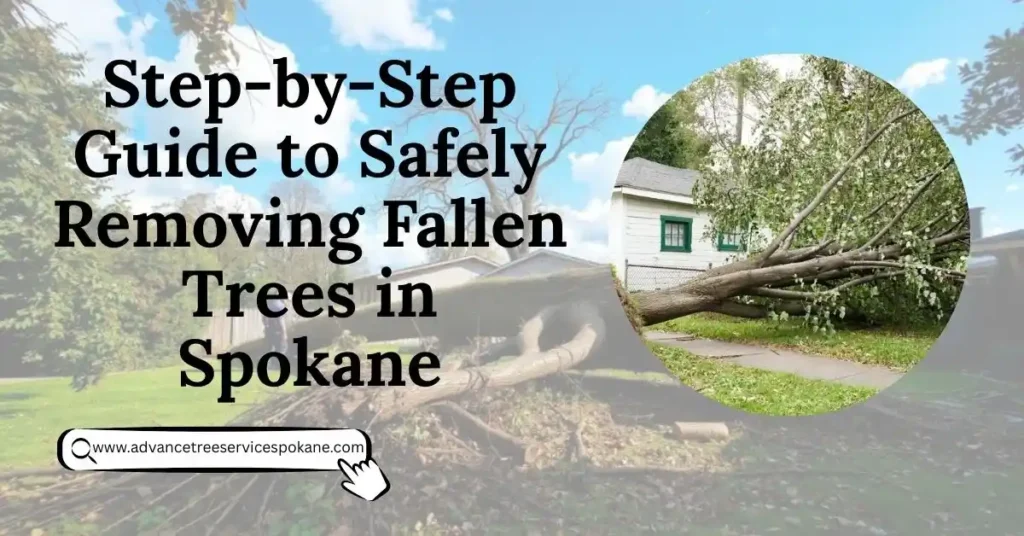 Guide to Safely Removing Fallen Trees in Spokane