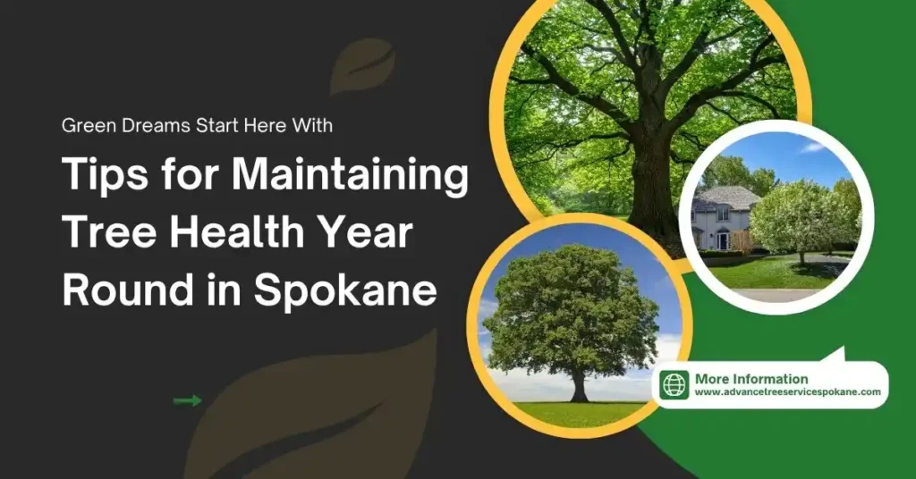 Tips for Maintaining Tree Health Year Round in Spokane