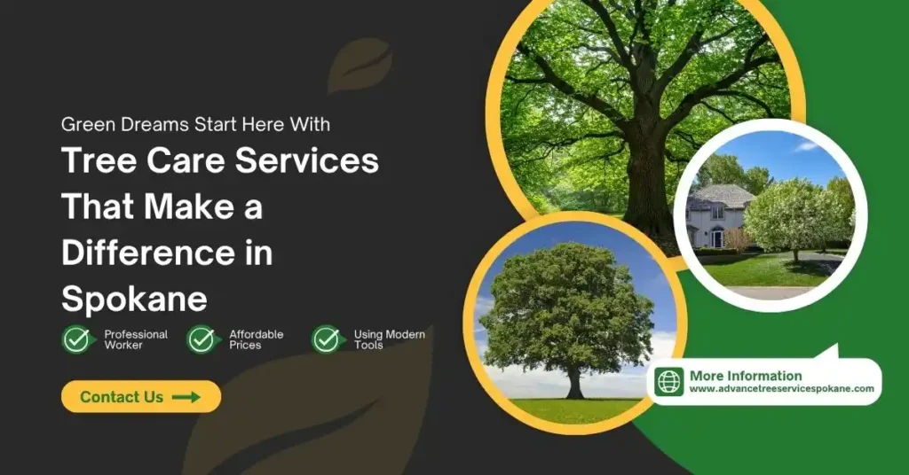 Tree Care Services That Make a Difference in Spokane
