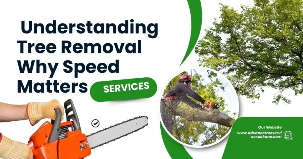 What is the Fastest Way to Remove a Tree