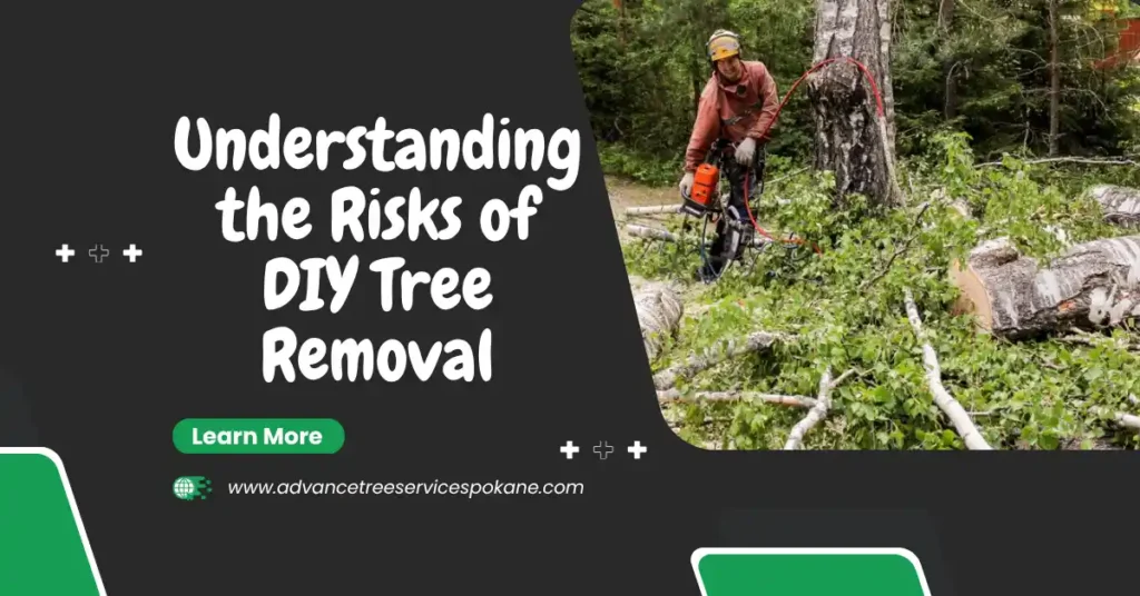 Understanding the Risks of DIY Tree Removal