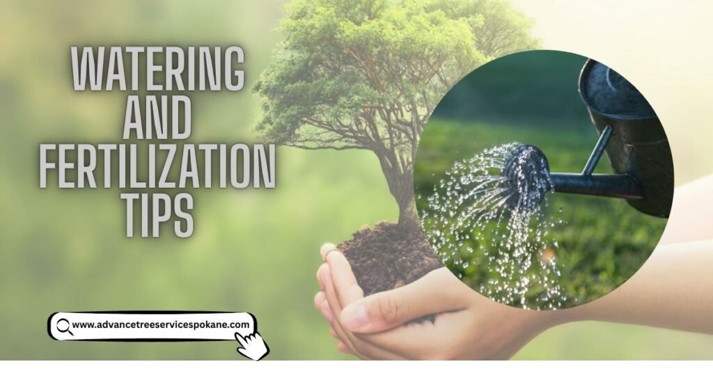 Watering and Fertilization Tips