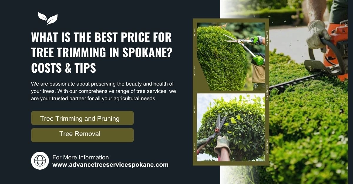 What Is the Best Price for Tree Trimming in Spokane?
