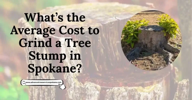 the Average Cost to Grind a Tree Stump in Spokane?