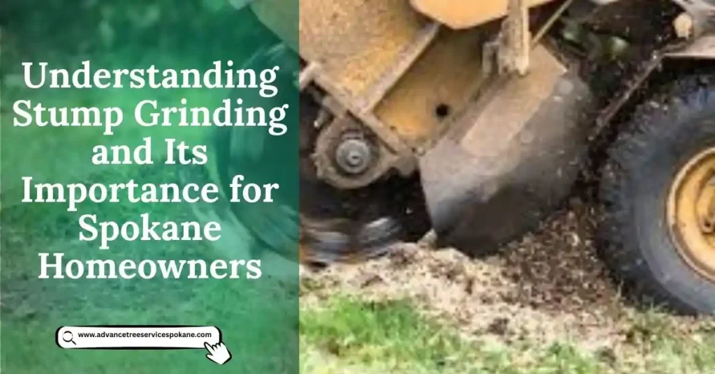 Understanding Stump Grinding and Its Importance for Spokane Homeowners