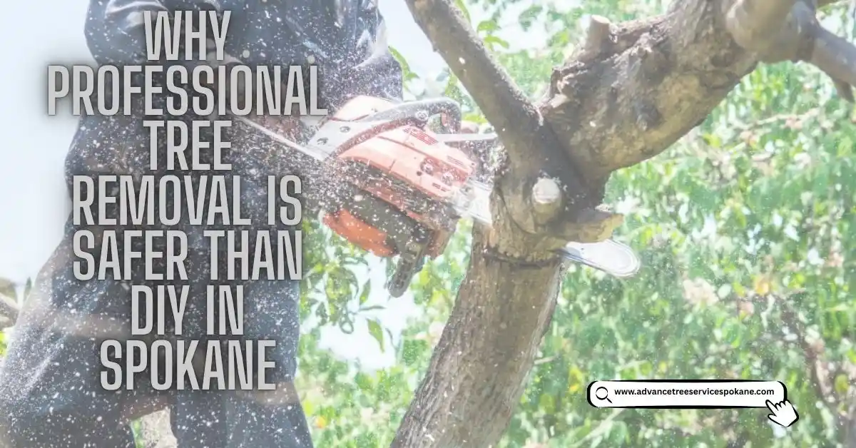 Professional Tree Removal Is Safer Than DIY