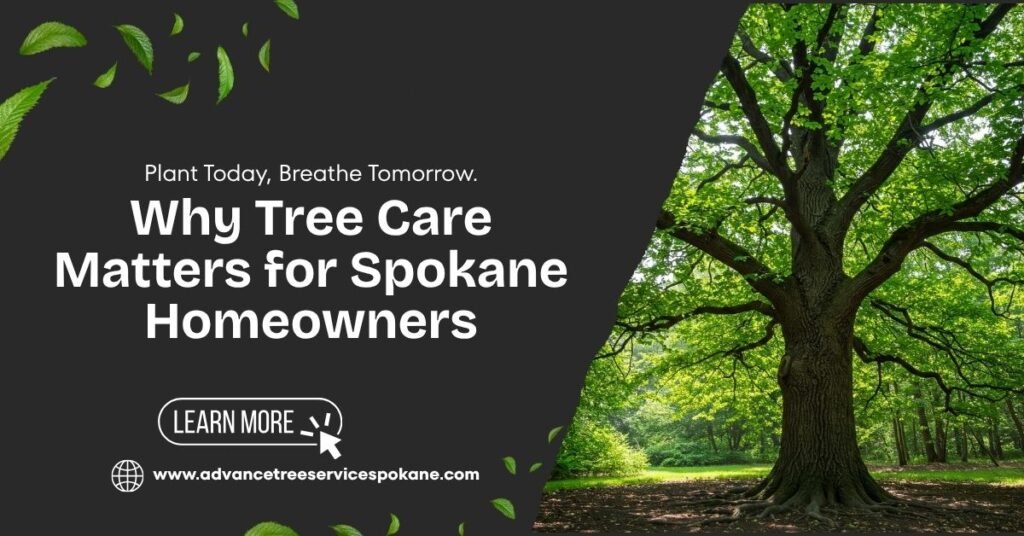 Why Tree Care Matters for Spokane Homeowners