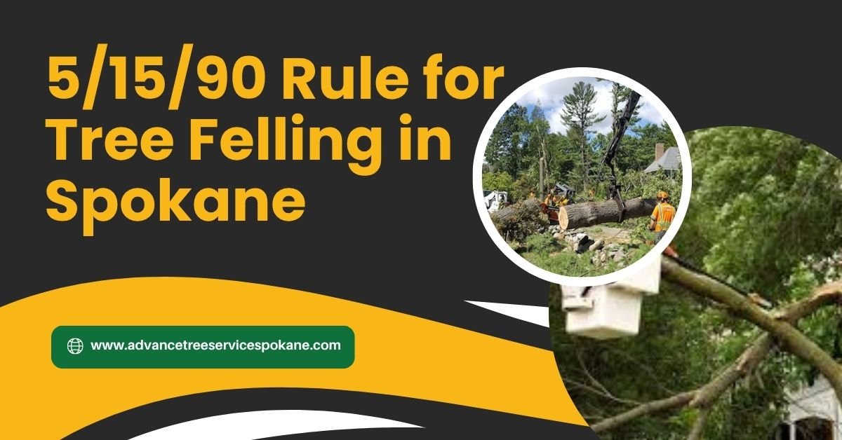 5/15/90 Rule for Tree Felling in Spokane
