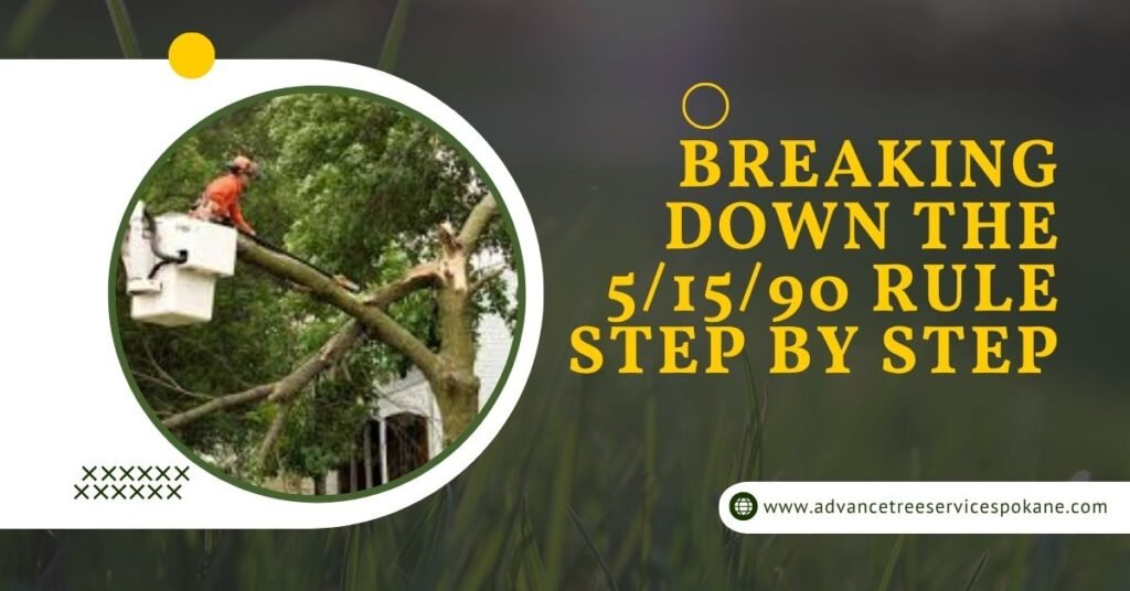 Breaking Down the 5/15/90 Rule Step by Step