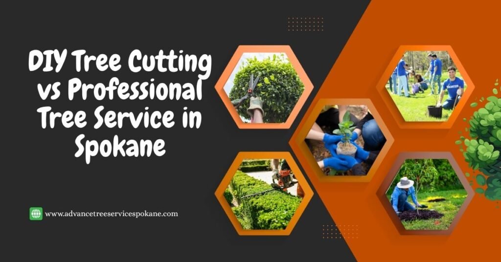 DIY Tree Cutting vs Professional Tree Service in Spokane