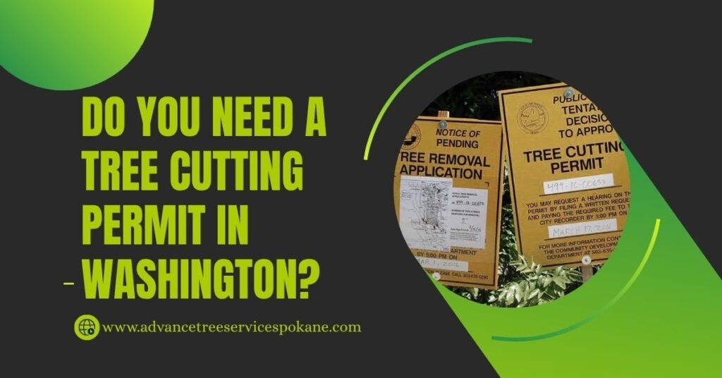 Do You Need a Tree Cutting Permit in Washington?