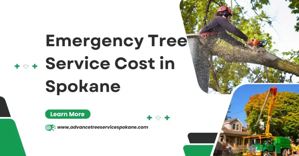 Emergency Tree Service Cost in Spokane