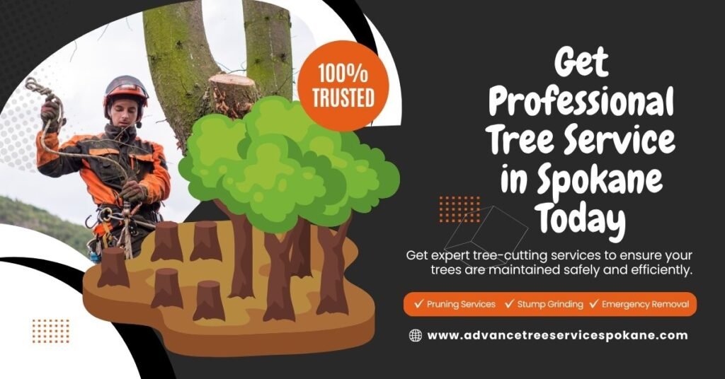Get Professional Tree Service in Spokane Today