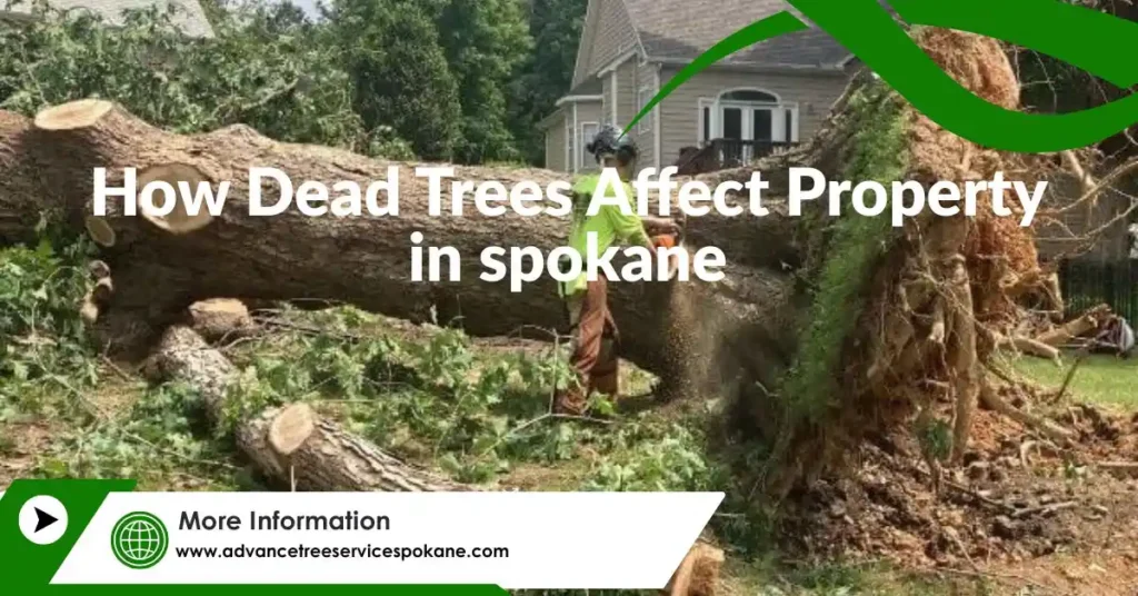 How Dead Trees Affect Property in spokane