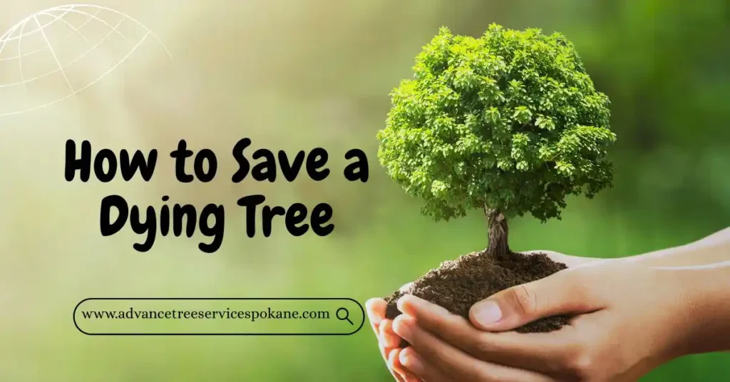 How to Save a Dying Tree