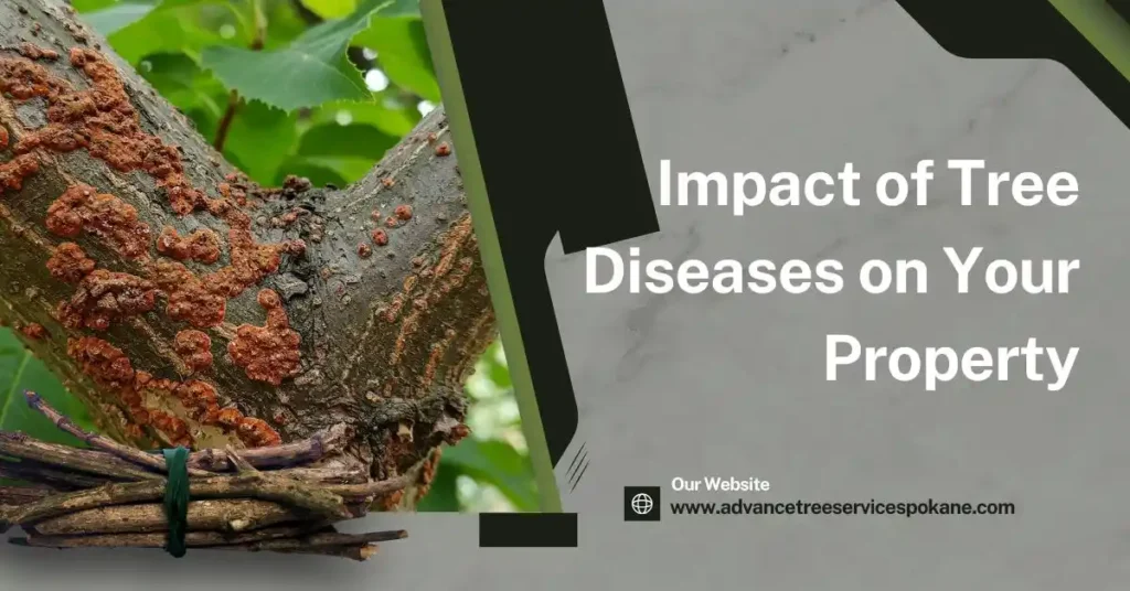 Impact of Tree Diseases on Your Property