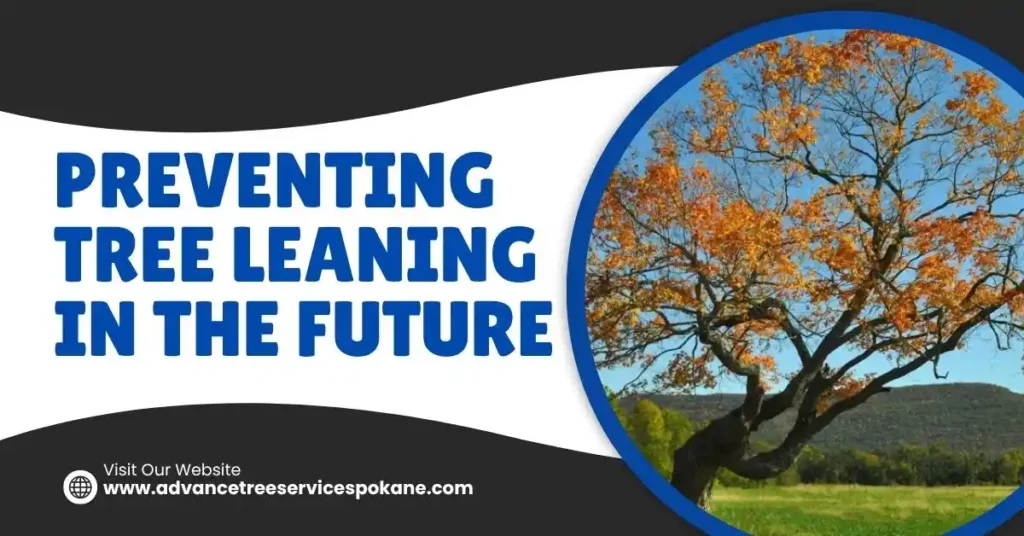 Preventing Tree Leaning in the Future
